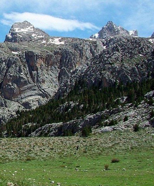 62. N��DE - Alada�lar