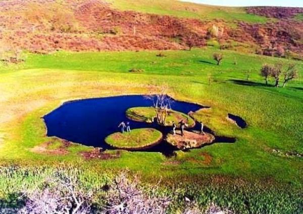 17. B�NG�L - Y�zen Ada (Turnalar G�l�)