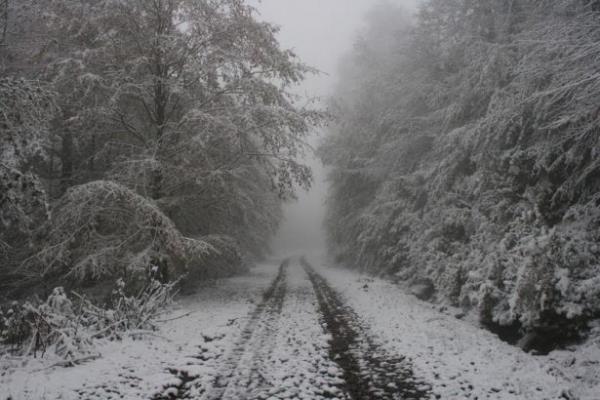 Mevsimin ilk kar� Ordu'nun en y�ksek il�elerinden olan Akku�a ya�d�