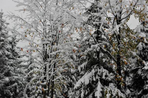 �lin y�ksek kesimlerinde etkili olan kar ya���� ise g�zel g�r�nt�ler olu�turdu.