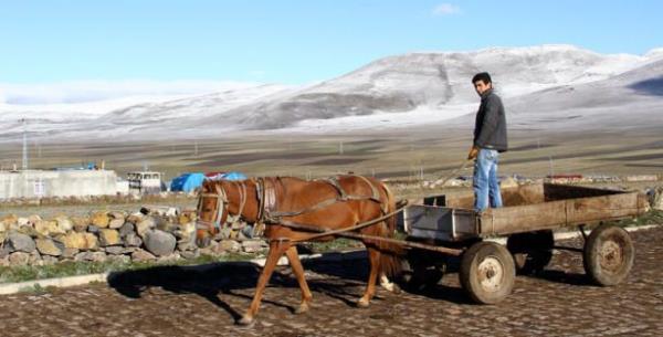 Ardahan'da gece saatlerinde etkili olan kar, kent merkezi ba�ta olmak �zere �zellikle y�ksek kesimleri beyaz �rt� ile kaplad�.