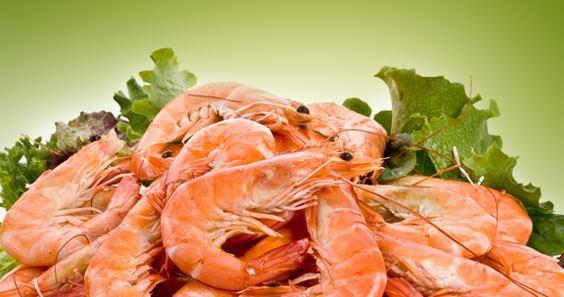 <br><b>E vitamini</b></br>Karides