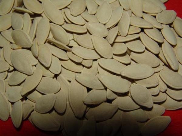 <br><b>B1 vitamini</b></br>Kabak ekirdei