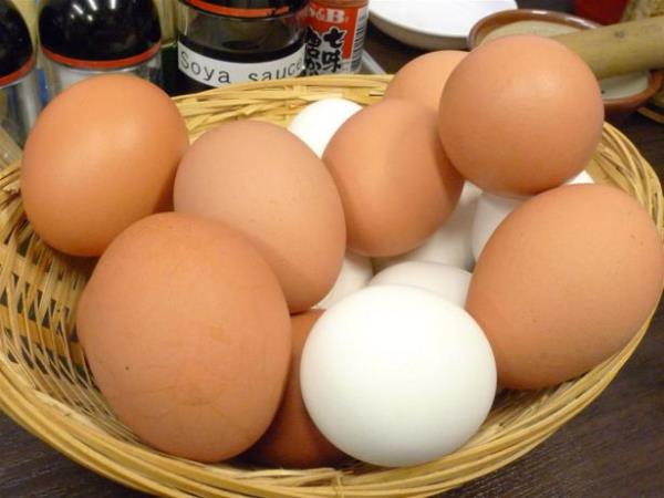 <br><b>B12 vitamini</b></br>yumurta