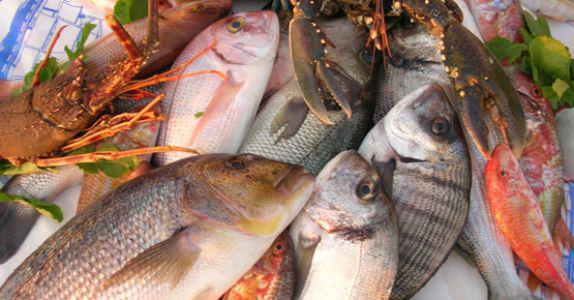 <br><b>D vitamini</b></br>Yal balk