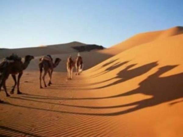 Gnahlardan Kanmak  Gnahlardan her zaman kanmak gerekir. Ramazan aynda ise daha fazla kanmak uygun olur. Bu aya her trl hrmeti gstermek gerekir. Kii gn boyu oru tutarak kendisini helal gdadan mahrum brakrken haramlara meyletmesi elbette akla uygun deildir.