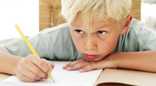 Verilen szel ynergeleri eksik anlyorsa