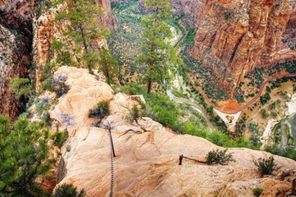 Zion Milli Park'nda yaplacak bir yry (ABD)