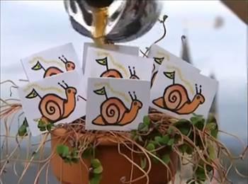 Kaynatlm kahveyle ieklerin diplerine musallat olmu solucanlar bertaraf edebilirsiniz. Kafein bir sinir gazdr son derece hzl etki eder, zararl bcekleri 24 saat iinde ieklerden uzaklatrr.