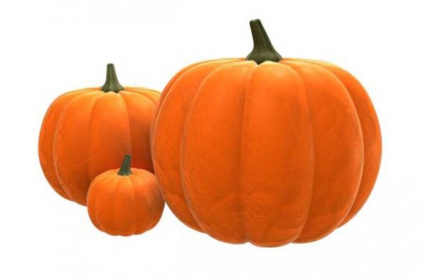 <p>Bal Kaba</p>  Tm kabaklar inkodan zengindir, salkl deri ve trnaklar iin gereklidir. Kalp hastal ve kansere kar koruyucu bir antioksidan olan betakaroteni ierirler. Kaban d kabuunu yemek tabiki olduka zordur, ekirdee ulamak iin kabua yakn bir ekilde onu kazdka daha fazla besin esi ieren o turuncu ksma ulalacaktr.