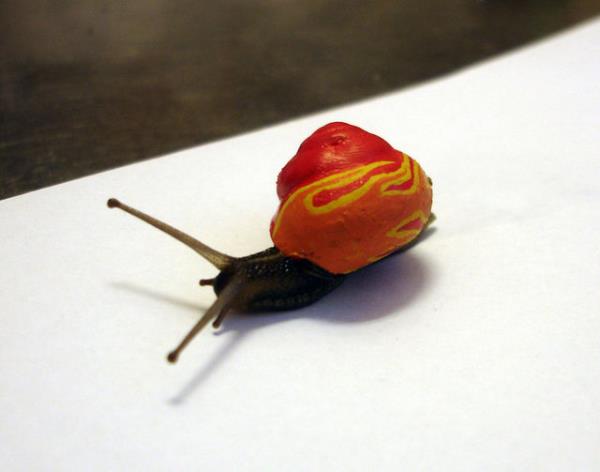 Bylelikle kk dostlarnn takibini de kolaylkla yapabiliyorlar!