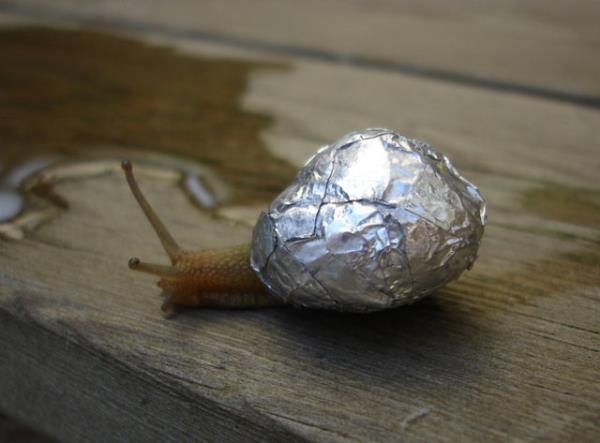 Dnya apnda pek ok izer bugnlerde minik mucizelerle megul...