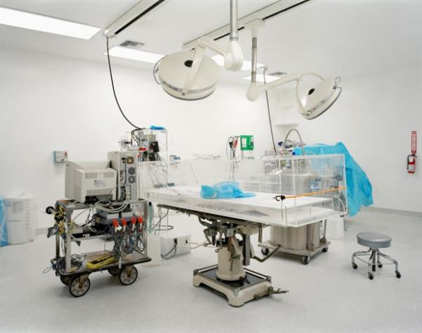 Ancak yaplan bir deney hi de yle demiyor. Dr. Paul Segal'in 1992'de American Cryonics Society'nin sponsorluunda California Oniversitesi'nde yapt u mehur deneyden sz ediyoruz. Dr. Segal beagle cinsi sevimli kpei Miles' dondurup tekrar diriltmeyi baarm ve bu deney dondurulmaya inanan insanlar iin o gnden beri byk bir ispat olarak saylyor.