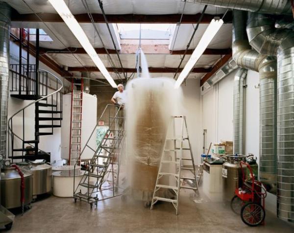 Dnyada dondurulan ilk kii 73 yanda akcier kanserinden len Amerikal psikolog James Bedford'd. 1967'den beri buzlar iinde diriltilecei gn bekliyor.