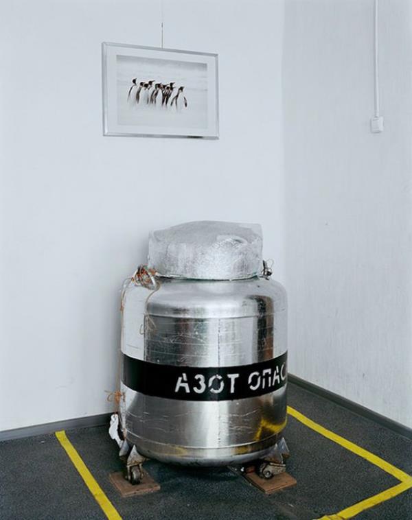 Bazlar iin insanlar, nano teknolojinin ve tbbn ok ilerledii, her hastala are bulunabildii, tek bir hcreden bile bir insann yeniden yaratlabildii bir ada uyandrmak zere dondurmak iin paralarn almak umut tacirliinden baka bir ey deil.