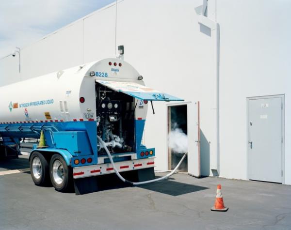 Szlk anlam, insanlarn bilinmeyen bir gelecekte zl-mek zere dondurulmas olan cryonics terimi, ilk olarak 1965 ylnda kullanld.