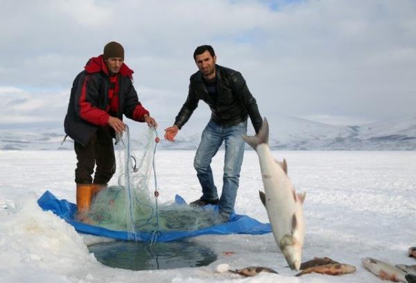 K aylarnda ldr Gl?nde balk tutmak.