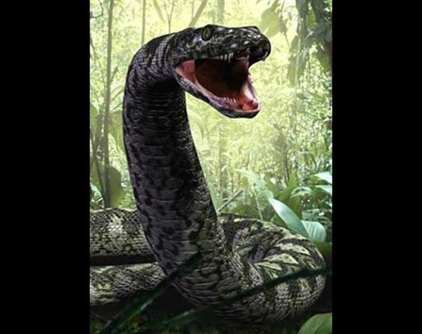 <p>Titanoboa</p>  Gnmzdeki anakonda ve boa ylanlarnn uzak bir akrabas olduuna inanlan titanoboa, zehirli deildi. Ylan avlarn 281 kg/m2'lik bir basnla skarak ldryordu. Bu basn 22 bin tonluk bir arln rnein New York'daki elik Brooklyn Kprs'nn altnda ezilmeye