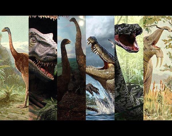 Onlar da bir zamanlar dnyada cirit atyorlard. Baz trler doal afetlerle, bazlar ise insanolunun dnyada var oluundan ok nce yok olmu, bazlar da insanolunun ar avlanmas, nfus art ve ehirlemeyle doal yaam alanlar tahrip olduundan dnya zerinden tamamen yok olmutur. Bilim adamlarnca uzun yllar nce neslinin tkendii ilan edilen trler...