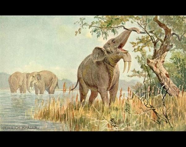 <p<Deinotherium</p>  Deinotherium, hortumlulardan kazc savunma dii bulunan memeli hayvan trdr. Bu cins tek bana deinotheridae familyasn tekil eder.