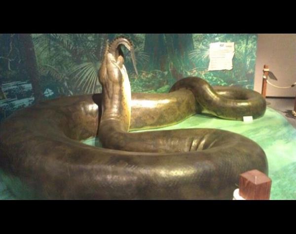 <p>Titanoboa</p>  Yaklak 58 milyon yl nce Gney Amerika'nn balta girmemi ormanlarnda yaayan dev ylan 1 tonu akn arlkta ve 14 m uzunluundayd. Bu ylan tm bir timsah yutabildii gibi, vucudunun ap nedeniyle yuttuu timsah dardan fark bile
