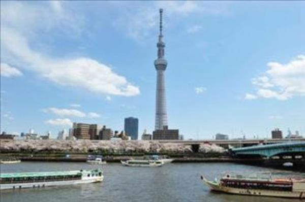 2- Japonya  <br>Japonya'da stn zekal 5,1 milyon kii yayor.</br>