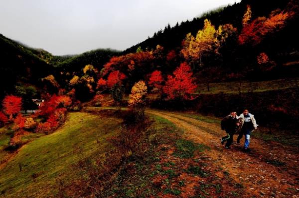 Zigana Ky Dou Karadeniz