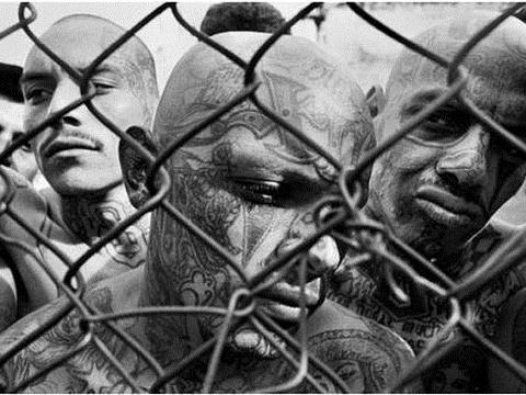 <p><b>18th Street Gang:</b></p>    Los Angalesde normal bir gnde herhangi bir kiinin bu ete tarafndan saldrya uramas ok sra d bir durum deildi.    <p>10 sene boyunca en ciddi dmanlar Bloods, Crips ve MS13 ile ok kanl bir mcadele vermesine ramen ete son zamanlarda ok fazla sayda dman ete yesini ldrd.</p>