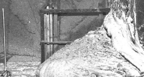 <p><b>15. "Nkleer Medusa"    Gerek hayatta bu grntye baksaydnz mutlaka lrdnz. Zira bu fotoraf, insanln bakan taa dntren yar Tanr Medusa'y yaratmaya en ok yaklat an gsteriyor. Grnt ernobil'deki nkleer santralin bodrum katnda ekilmi.    <p>Santraldeki bir reaktr ekirdei erimi ve bu grnt ortaya km. "Fil Aya" da denilen bu materyal yzlerce ton arlnda ve birka metre genilie sahip. Fotoraf, bu materyalin bulunduu koridorun sonundan uzatlan bir ayna yardmyla ekildi. Zira fotoraf ekmek iin gnderilen uzaktan kumandal fotoraf makinas, radyasyon sebebiyle annda yok oldu.</p>