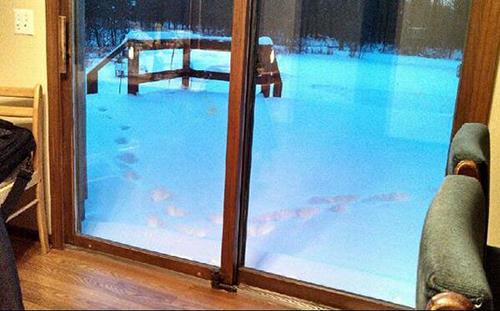 <p><b>1. "Cesedini bulamazlar" sznn gerek olmaya yaklat o an</b></p>    Sosyal medyada paylalan fotorafn altna u not dlm: "Dn gece ailem dar kmt ve evde tek bamaydm. Gn ve gece boyunca aralklarla kar yad.     <p>Ertesi sabah kahvalt yapmak iin mutfaa indiimde, gece pek de yalnz olmadm fark ettim."</p>