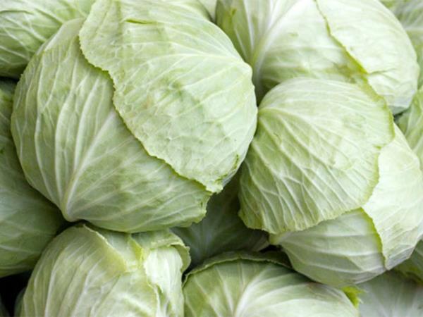 Turusundan sarmasna kadar pek ok ekilde sofralarmza konuk olan bu sebze ierdii kkrtl bileikler ile