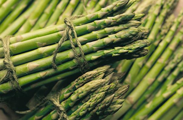 lkemizde olan poplerlii gn getike artan kukonmaz yksek K vitamini ve folat ieriiyle olduka faydal bir sebze.