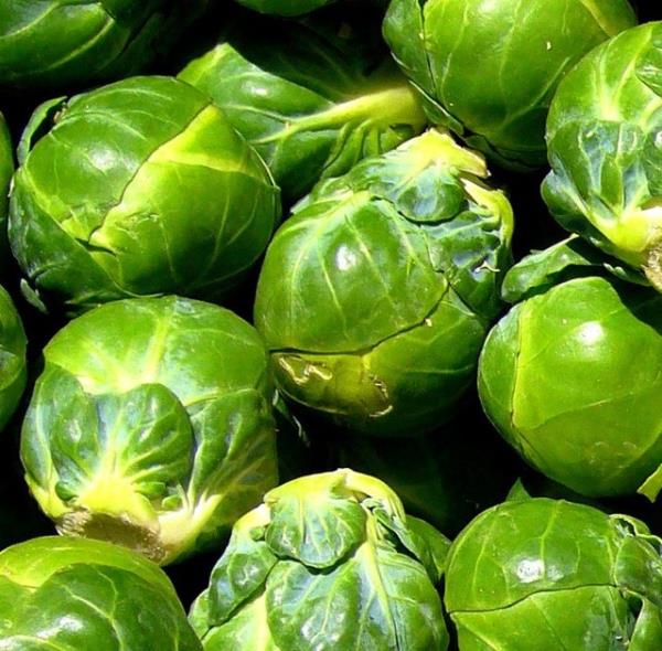 Bu kk salk toplar yaammza renk katmak iin var sanki