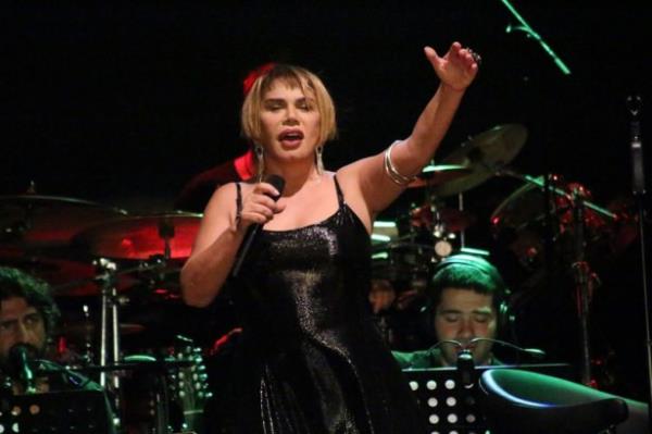 <p>SEZEN AKSU</p>  Aabeyi Nihat Aksu ile birlikte SN Yapm adl irketi var. Biliim sektr zerine faaliyetler yapyor. Nianta'ndaki Frankie adl kulbn de ortaklar arasnda.