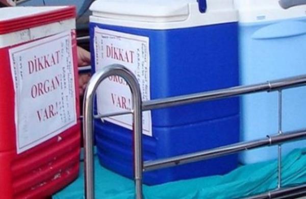 9. BAI YAPTIIMI ALE BREYLERNDEN GZLEYEBLR MYM?