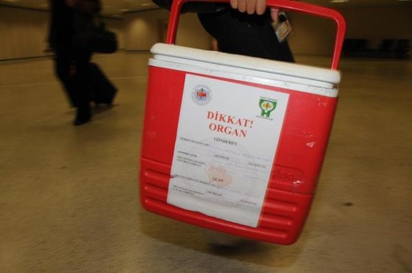 Yasada belirtilen hkmlere uyan kiilerin yapt ba zerine, etik olmas asndan aile rzas da aranyor.