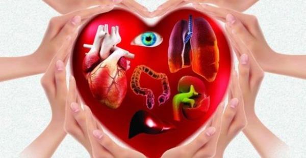 5. NAKL YAPILABLECEK DOKU VE ORGANLAR HANGILERDR?