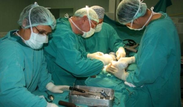 st solunum yolu, sa ve sol bacak, sa ve sol kol, yz ve sal deri.