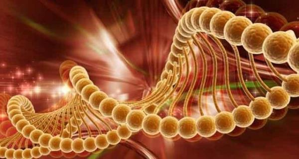 6- Kanseriniz iin sulu aramayn