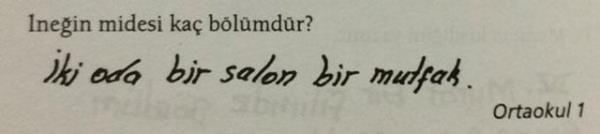 Ahmet Glm ve Kemal Gnen'in Trkiye'nin her yanndaki okullardan rnekler alarak, gerek yazl ktlarndan derledii "Dikkat yazl var" kitabnn devam olan "Yine mi yazl var?" kitab yine birbirinden ilgin rneklerle dolu