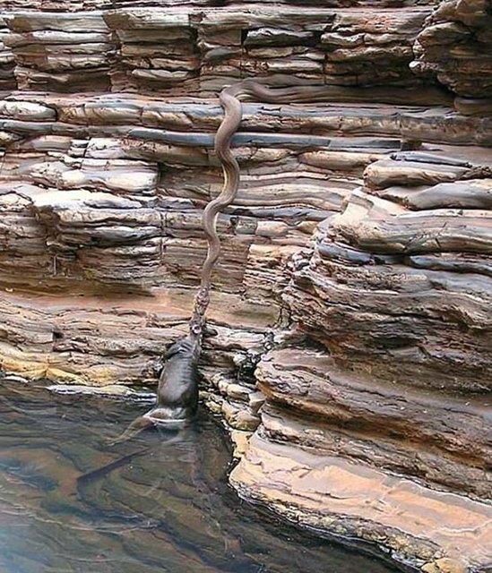 nei sudan karan ylan: GEREK