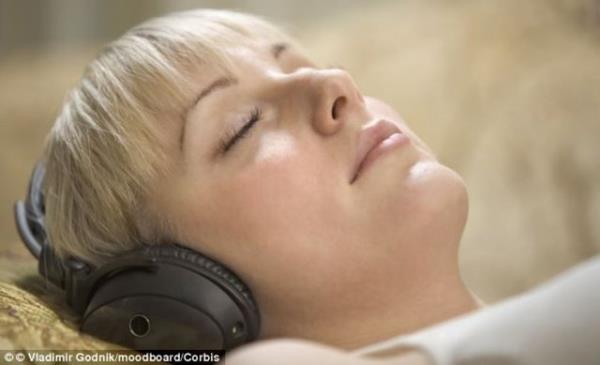 Yaplan alma kapsamnda, anadili Almanca olanlar Hollandaca renmeye baladlar.