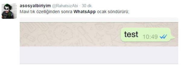 Yeni eklenen mavi tk (Blue Tick) zellii ise mesajn kii tarafndan okunduu anlamna geliyor.