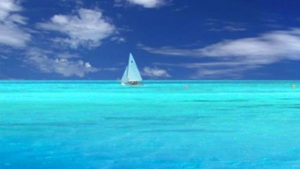 Okyanuslardaki plerin %90'i plastik.