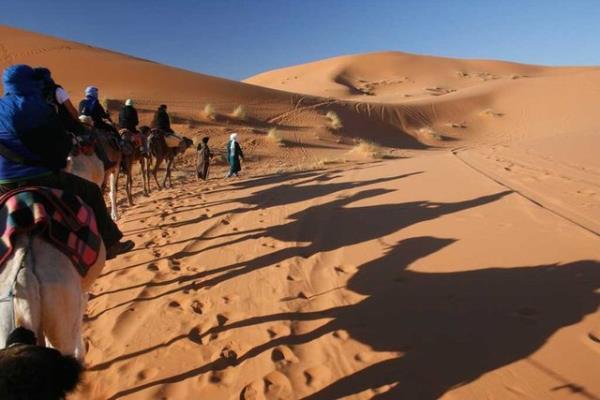 Besin asndan zengin 40 milyon ton arlnda kum ,her yl rzgarlarla Sahra l'nden Amazon Ormanlar'na tanr.