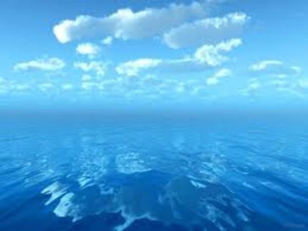 Okyanuslarda 1 milyona yakin canl tr var. Yanlzca 3' te ikisi biliniyor.