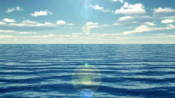 Dnya'nn %99'luk yasam alann okyanuslar oluturuyor.