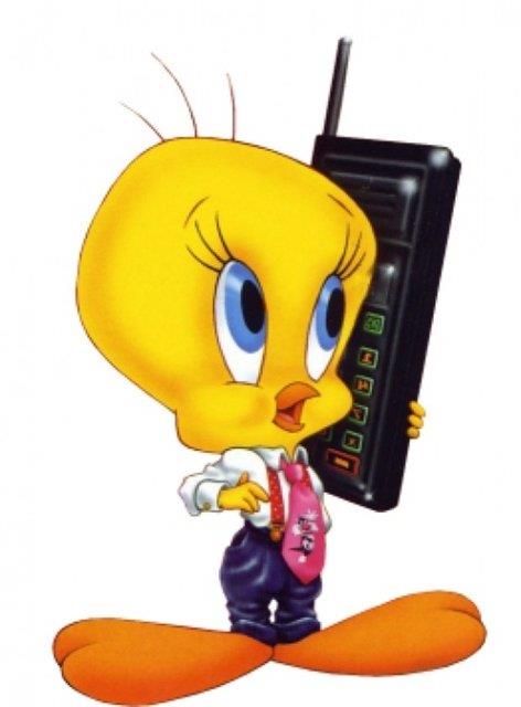 Tweety aslnda erkektir.