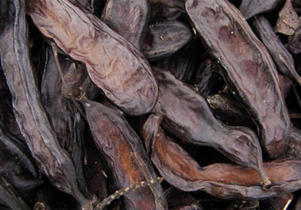 Uzmanlar glikoz ve ekerle pekmez retip gerekmi gibi satanlara dikkat ekiyorlar.