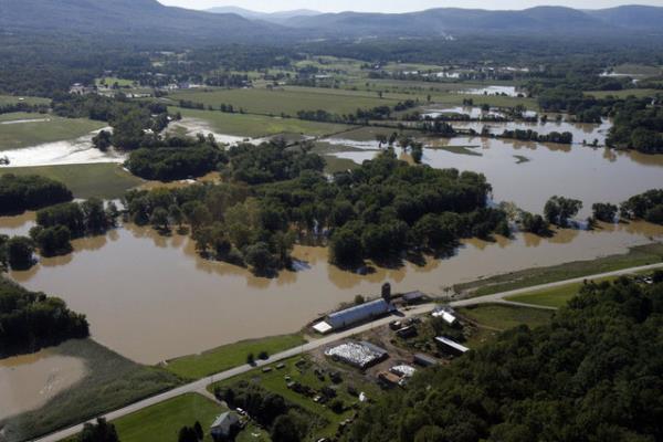 Irene Kasrgas - 2011